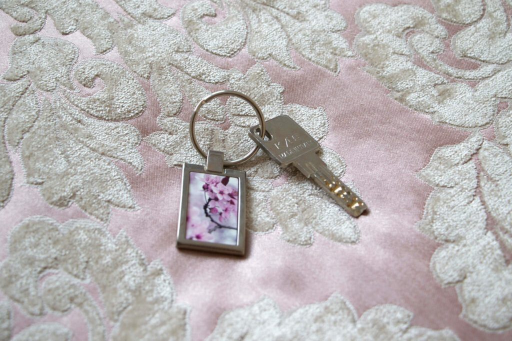 Kirschbluete-FS1A6439_DxO
