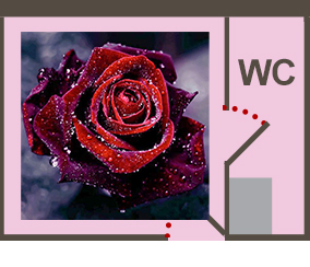 map-queeny-2021-cabindeck-gallery-rose