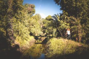 DSC_3050_RE guest canal 2025