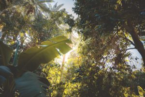 DSC_3093_RE plants 2025