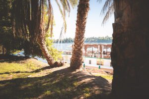 DSC_3107_RE queeny shore through palms 2025