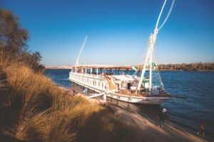 DSC_3981_RE queeny front right landed 2025