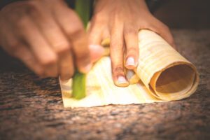 DSC_4782_RE papyrus closeup hands 2025