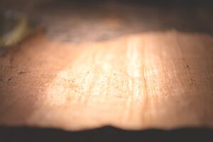 DSC_4786_RE papyrus 2025