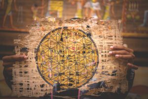 DSC_4787_RE papyrus 2025